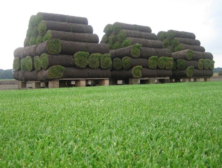 image00013