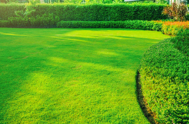 istockphoto-1250283026-612x612